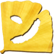 126
