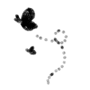 021