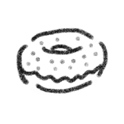 036