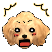 อิโมจิไลน์ Mousee, a good Maltipoo boy's Emoji