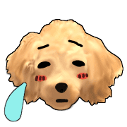 อิโมจิไลน์ Mousee, a good Maltipoo boy's Emoji