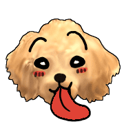 อิโมจิไลน์ Mousee, a good Maltipoo boy's Emoji