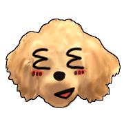 อิโมจิไลน์ Mousee, a good Maltipoo boy's Emoji