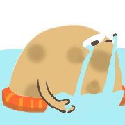 005