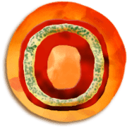 176