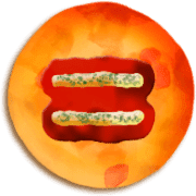 239