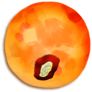 245