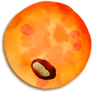 256