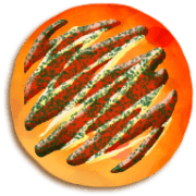 305