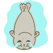 004