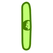 081