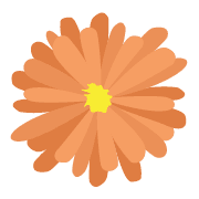 036