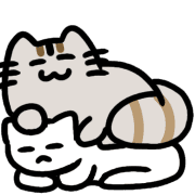 004