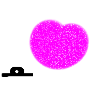 004