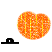 010