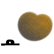 015