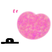 039