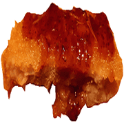 019