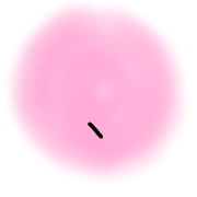 256