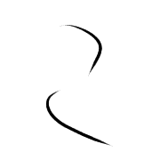 010
