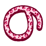 025