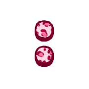 244