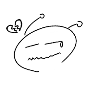 005