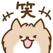 004