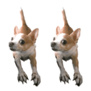 003