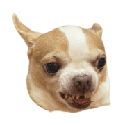 009