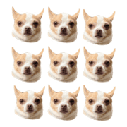 026