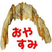 009