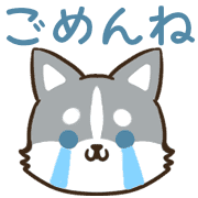 010