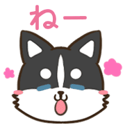 031