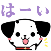 003