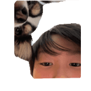 004