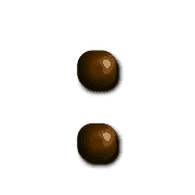 244
