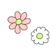 029