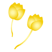 028