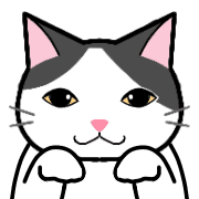 004