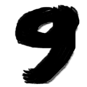 009