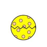 036