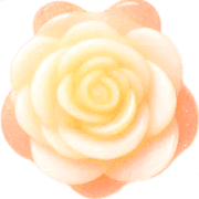 037