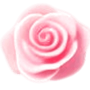 020