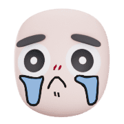 010