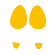 019