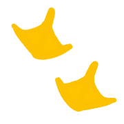 029