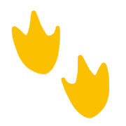 031