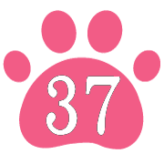 037