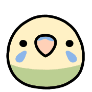 029